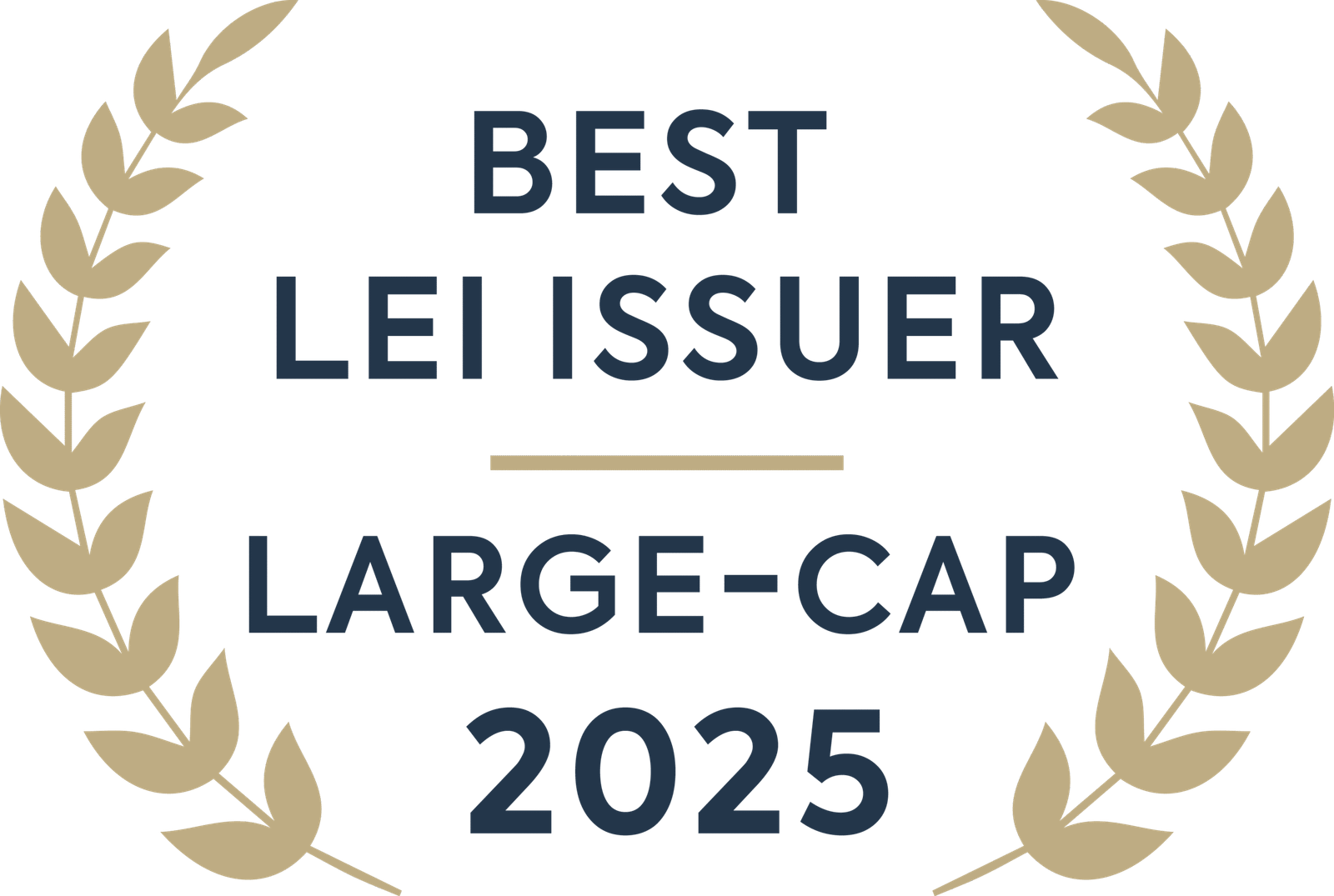 Best LEI Issuer, Large-Cap 2025